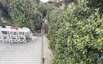 Colazza 100: Arbuste, Jardin, Printemps, Ombre, Aménagement Paysager, Clôture, Jardin Botanique, Accueil Escrime, Haie