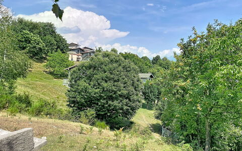 Baita Melissa: Arbre, Feuille, Vert, Végétation, Arbuste, Communauté Des Plantes, Zone Rurale, Couverture De Sol, Jardin, Printemps