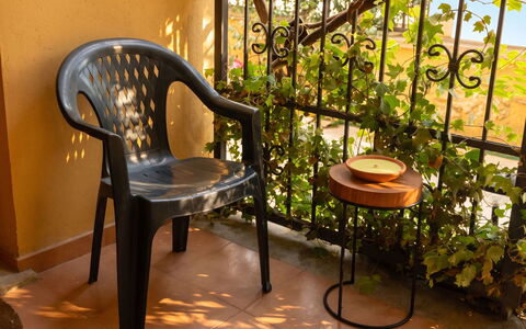 City and Coast: Balcon, Tache De Bois, Plante D'Appartement, Mobilier De Jardin, Pot De Fleur