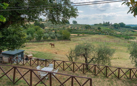 Casa Elia 6: Arbre, Plaine, Zone Rurale, Clôture, Pâturage, Accueil Escrime, Parc, Ferme, Ranch