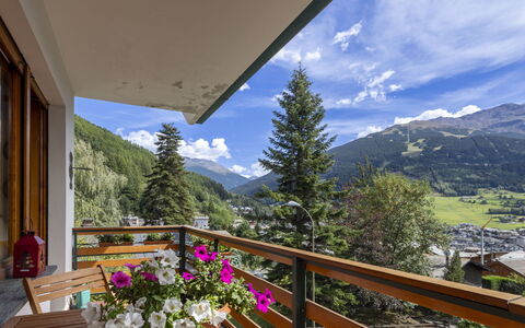 La Panoramica: Toit, Domicile, Siding, Chalet, Cour, Dur, Conception, Batiments Jardin, Tache De Bois, Ferme
