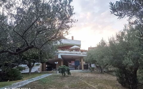 La Terrazza di Colle Marino: Arbre, Hacienda, Cour, Aménagement Paysager