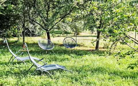 Il Pozzo dei Desideri: Vert, Herbe, Jardin, Pelouse, Couverture De Sol, Printemps, Tronc, Lumière Du Soleil, Parc