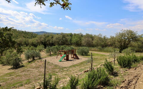 La Calcinaia Country Villa, Bucine: Arbre, Végétation, Paysage, Communauté Des Plantes, Zone Rurale, Lot Terre, Plaine, Sol, Formations Arbustives, Pâturage
