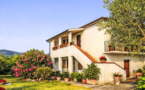 Il Mulinetto: Fleur, Maison, Arbuste, Jardin, Domicile, Rose, Chalet, Ferme, Biens