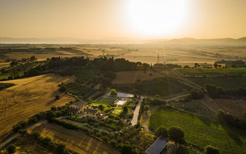 Poderina dei Poggi 12: Paysage, Plaine, Champ, Lot Terre, Zone Rurale, Plantation, Agriculture, Lumière Du Soleil, Ferme, Vue Du Ciel