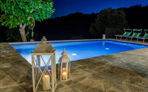 Villa Mia 6: Piscine, Composite, Pot De Fleur, Mobilier De Jardin, Recours, Dalle, Caractéristique De L'Eau, Plante D'Appartement, Aménagement Paysager, Ombre