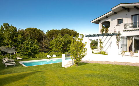 Villa Sarah 10+2: Herbe, Zone Résidentielle, Domicile, Maison, Architecture, Arbuste, Jardin, Biens, Piscine