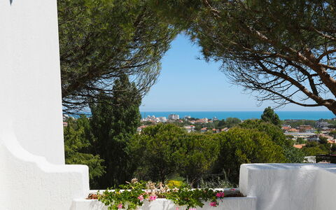 Villa Sarah 10+2: Bleu, Feuille, Ombre, Jardin, Aménagement Paysager
