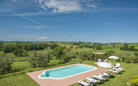 Poggio Vistabella 10: Piscine, Prairie, Biens, Pelouse, Plantation, Ferme, Ferme, Agriculture, Villa, Hacienda