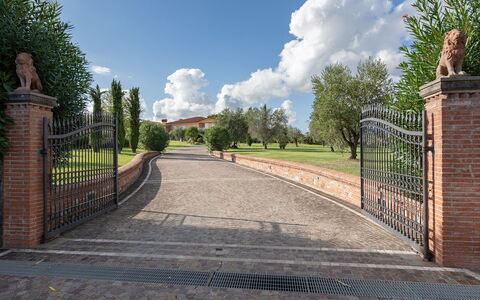 Villa Gabri 8: Brique, Brickwork, Allée, Jardin, Biens, Porte, Aménagement Paysager, Passerelle, Clôture, Chemin