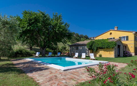 Casale Verdicchio 10+2: Biens, Chalet, Piscine, Ferme, Hacienda, Villa, Pelouse, Aménagement Paysager, Eco Hôtel, Cour
