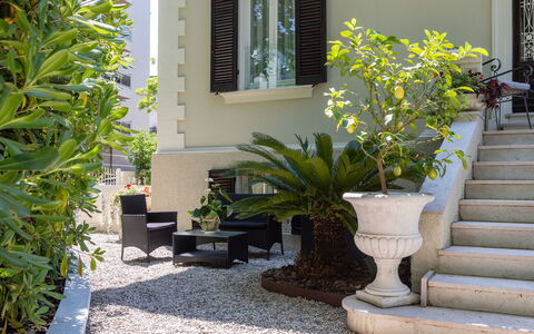 Villa Corona 8: Arbuste, Jardin, Pot De Fleur, Ombre, Aménagement Paysager, Plante D'Appartement, Cour, Cour