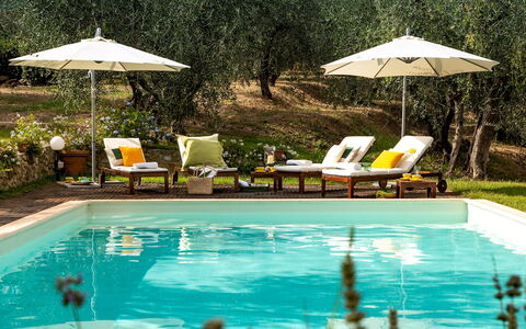 Villa Il Colle di Moriano 8: Piscine, Mobilier De Jardin, Recours, Balancelle, Meubles, Parapluie, Eco Hôtel, Jardin, Chaise, Ombre