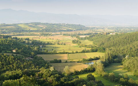 Villa Vittoria D'Anghiari 7+3: Vert, Environnement Naturel, Paysage Naturel, Paysage, Écorégion, Prairie, Plaine, Montagnes, Champ, Lot Terre