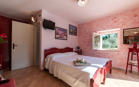 Cascina Marianna 12+4: Mur, Domicile, Rose, Appartement, Porte, Peindre, Plante D'Appartement, Pot De Fleur, Chambre, Balcon