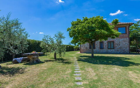 Poggio Medei 10: Ciel, Bleu, Herbe, Prairie, Plaine, Lot Terre, Pelouse, Jardin, Prairie, Ferme