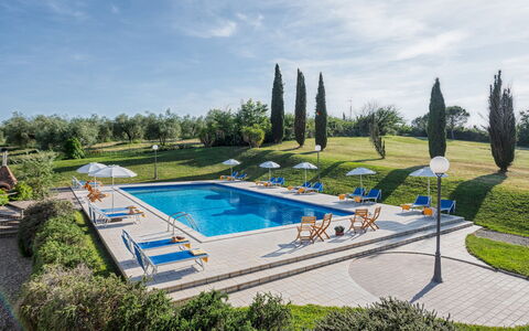 Villa Croci 12: Bleu, Piscine, Mobilier De Jardin, Recours, Biens, Balancelle, Jardin, Aménagement Paysager, Villa, Hôtel