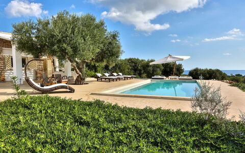 Villa Pajare Francesi 8+2: Domicile, Biens, Jardin, Ombre, Villa, Aménagement Paysager, Hacienda, Ferme, Recours, Manoir