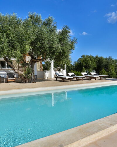 Villa Pajare Francesi 8+2: Bleu, Piscine, Ombre, Biens, Recours, Mobilier De Jardin, Villa, Hacienda, Hôtel