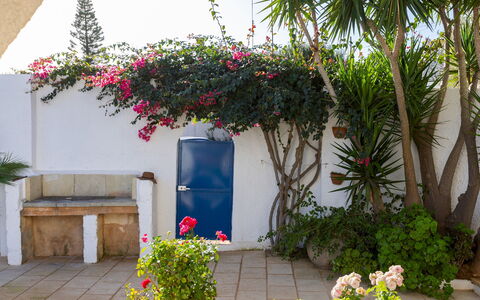 Villa del Lentisco 8+2: Fleur, Pot De Fleur, Arbuste, Jardin, Plante D'Appartement, Ombre, Aménagement Paysager, Cour, Cour
