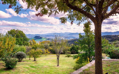 Cinque Cipressi 8: Arbre, Feuille, La Nature, Environnement Naturel, Vert, Herbe, Montagnes Relief, Paysage Naturel, Végétation, Branche