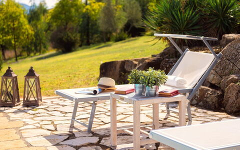 Cinque Cipressi 8: Meubles, Mobilier De Jardin, Table, Chaise, Tableau De Plein Air, Patio, Ombre, Table Basse, Jardin, Table Cuisine Et Salle A Manger