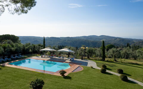 Villa Beltrami 14: Recours, Biens, Piscine, Eco Hôtel, Villa, Plantation, Hacienda