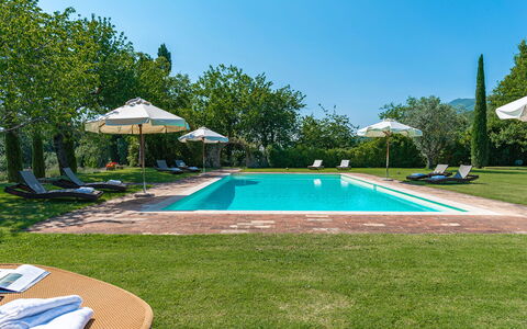 San Francesco 12: Bleu, Piscine, Jardin, Biens, Aménagement Paysager, Pelouse, Eco Hôtel, Recours, Plantation, Hacienda