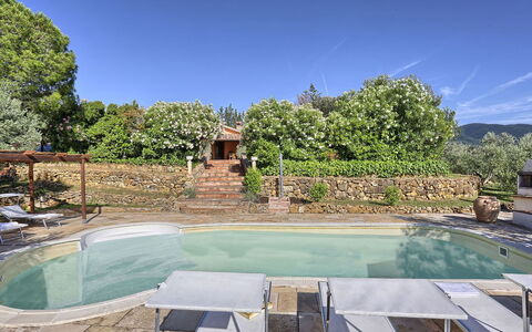 Virginia 8: Piscine, Recours, Mobilier De Jardin, Arrière-Cour, Hacienda, Eco Hôtel, Jardin, Biens, Ombre, Aménagement Paysager