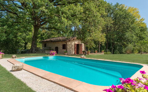 Mulino della Quercia 2+1: Piscine, Jardin, Arrière-Cour, Ombre, Aménagement Paysager, Hacienda, Ferme, Cour, Eco Hôtel, Recours
