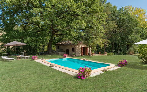 Mulino della Quercia 2+1: Piscine, Jardin, Arrière-Cour, Pelouse, Ferme, Biens, Cour, Ombre, Hacienda, Aménagement Paysager