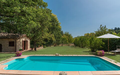 Mulino della Quercia 2+1: Piscine, Arrière-Cour, Jardin, Biens, Recours, Hacienda, Loisir, Ombre, Eco Hôtel, Ferme
