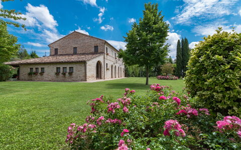 Villa Ambrah 12+1: Herbe, Arbre, Arbuste, Paysage, Jardin, Plaine, Pelouse, Biens, Cour