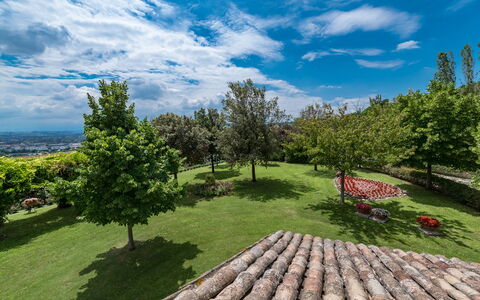 Villa Ambrah 12+1: Ciel, Arbre, Herbe, La Nature, Vert, Végétation, Paysage, Arbuste, Nuage, Lot Terre
