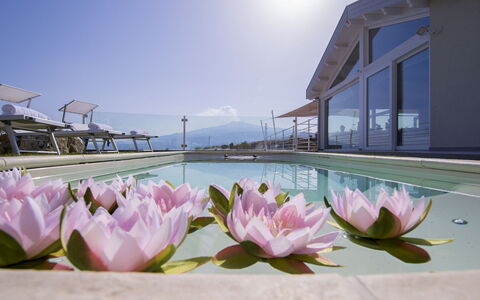 Villa Aura 6: Recours, Piscine, Eco Hôtel, Hôtel, Villa, Ville Resort, Parapluie, Mobilier De Jardin, Balcon