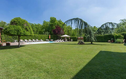 Villa Miki 10: Arbre, Herbe, Arbuste, Jardin, Piscine, Lot Terre, Loisir, Pelouse, Ombre, Aménagement Paysager