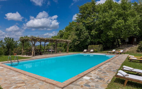 La Cerqua 8: Bleu, Piscine, Meubles, Recours, Mobilier De Jardin, Ombre, Eco Hôtel, Jardin, Biens, Hacienda