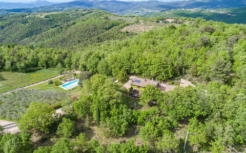 La Cerqua 8: Arbre, Environnement Naturel, Végétation, Paysage, Zone Rurale, Vue Du Ciel, Lot Terre, Forêt, Station De Montagne, Plantation
