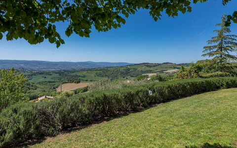 Villa Mila 6: Ciel, Arbre, Vert, Environnement Naturel, Herbe, La Nature, Feuille, Colline, Végétation