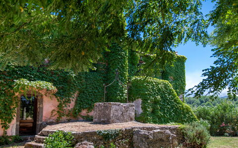 Villa Terre Normanne 10: Vert, Mur, Feuille, La Nature, Végétation, Arbuste, Jardin, Couverture De Sol, Mur De Pierre, Ombre