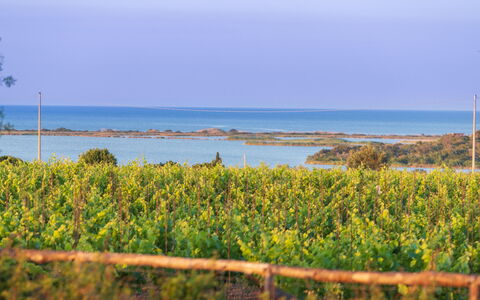 Villa Passo degli Aironi 12: Bleu, Horizon, Cotiers Et Relief Océaniques, Mer, Côte, Océan, Plantation, Rive, Champ, Formations Arbustives