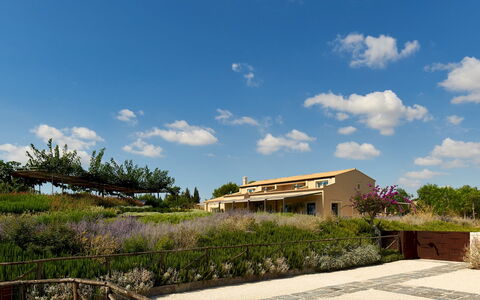 Villa Majoli 9: Arbuste, Paysage, Lot Terre, Communauté Des Plantes, Zone Rurale, Biens, Ferme, Aménagement Paysager, Formations Arbustives