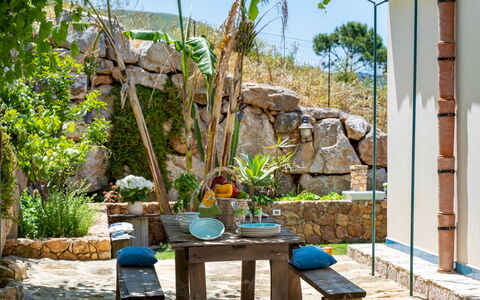 Villa Olimpia 6+2: Pot De Fleur, Jardin, Chaise, Mobilier De Jardin, Aménagement Paysager, Dalle, Arrière-Cour, Plante D'Appartement, Patio, Matériau Naturel
