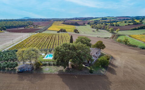 Casale le Tre Querce 8+1: Arbre, Paysage, Zone Résidentielle, Plaine, Maison, Vue Du Ciel, Lot Terre, Zone Rurale, Domicile, Établissements Humains