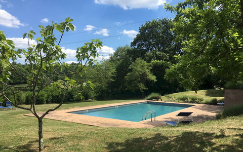 Villa Carmeli 12+2: Piscine, Arbre, Ombre, Jardin, Arrière-Cour, Pelouse, Aménagement Paysager, Cour, Parc, Recours