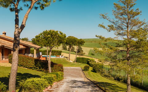 Villa California 6: Herbe, Arbuste, Lot Terre, Jardin, Aménagement Paysager, Chalet, Biens, Pelouse, Ombre, Ferme
