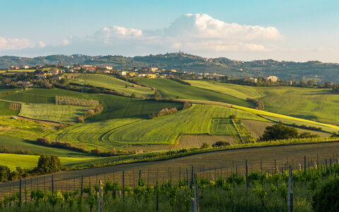 Villa California 6: Vert, Colline, Champ, Paysage Naturel, Agriculture, Prairie, Paysage, Plaine, Montagnes, Zone Rurale