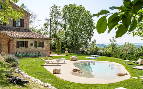 Casa Melograno 11+2: Jardin, Piscine, Arrière-Cour, Ferme, Pelouse, Biens, Chalet, Loisir, Aménagement Paysager, Cour