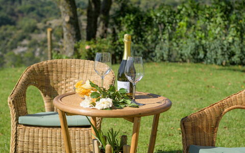 Casale Tavernelle 6: Meubles, Mobilier De Jardin, Chaise, Table, Tableau De Plein Air, Osier, Jardin, Tache De Bois, Patio, Table Basse